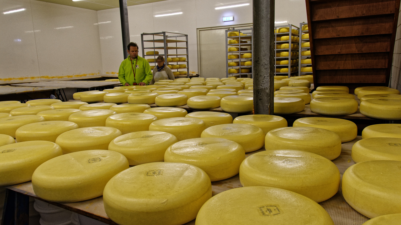 20151228 173012•Nieuw-Lekkerland•South Holland•Netherlands